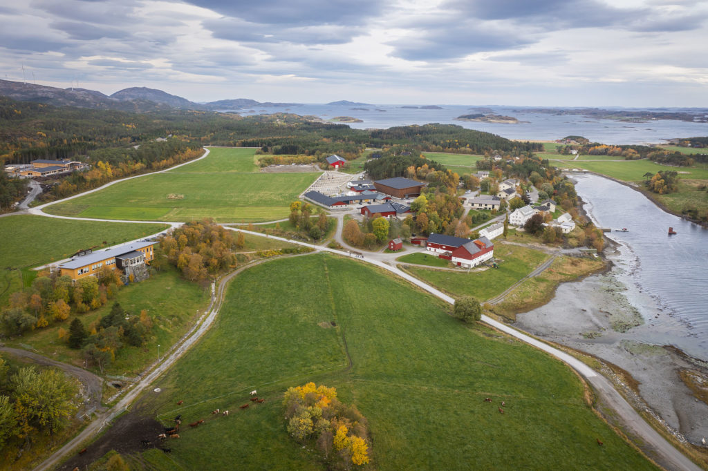 Val skoler - Val skoler