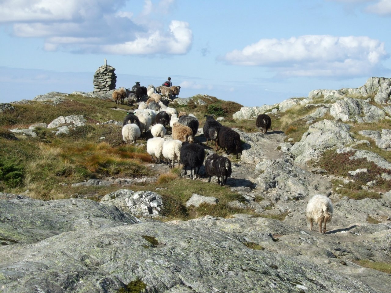 Varegga Grunneigarlag Beite- og Jaktforeining