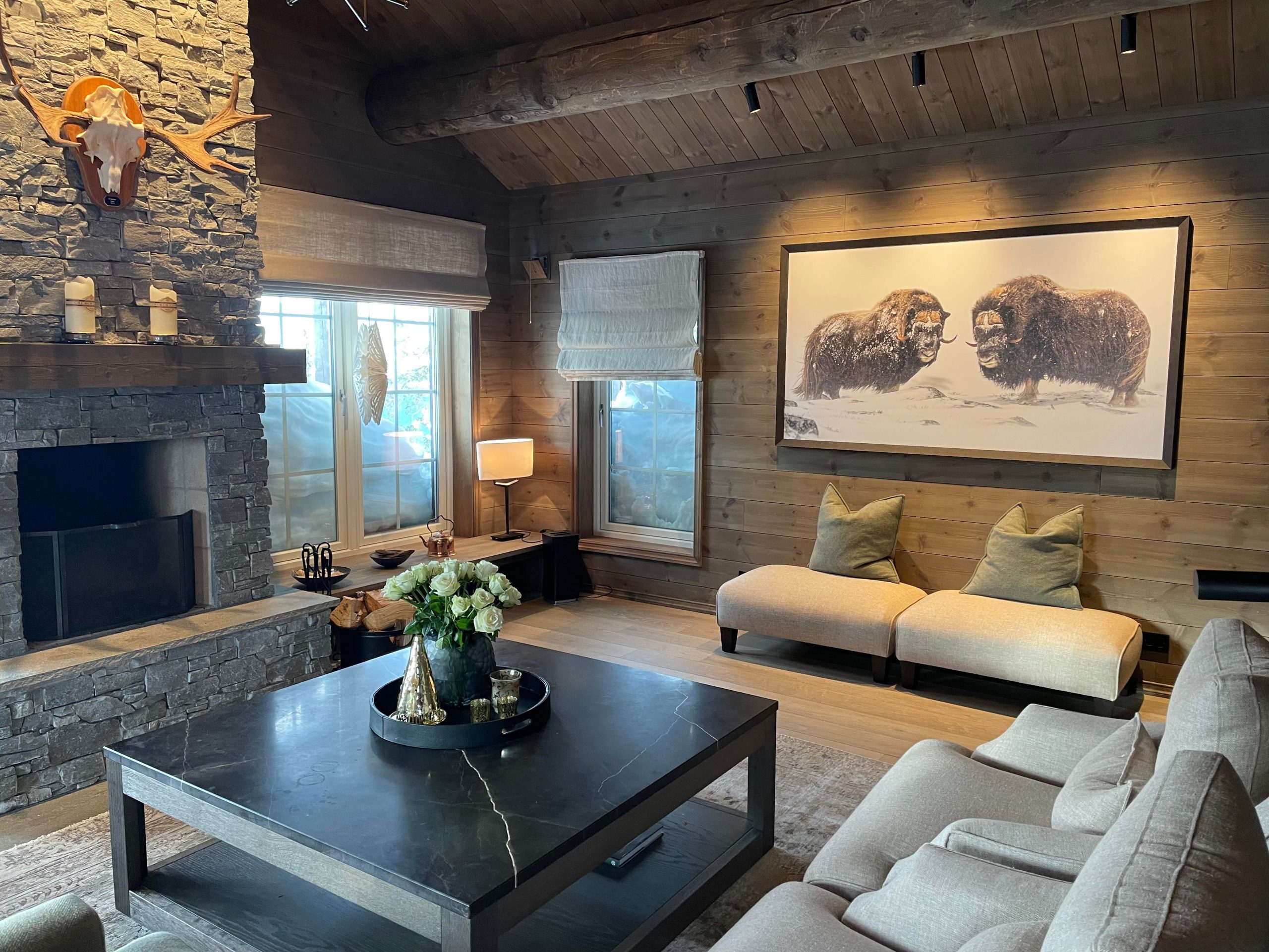 Forside - Vegard Antonsen Foto