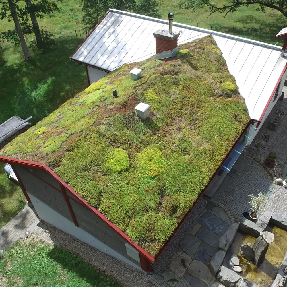 Grønne tak og vegetasjonsløsninger - Vegtech