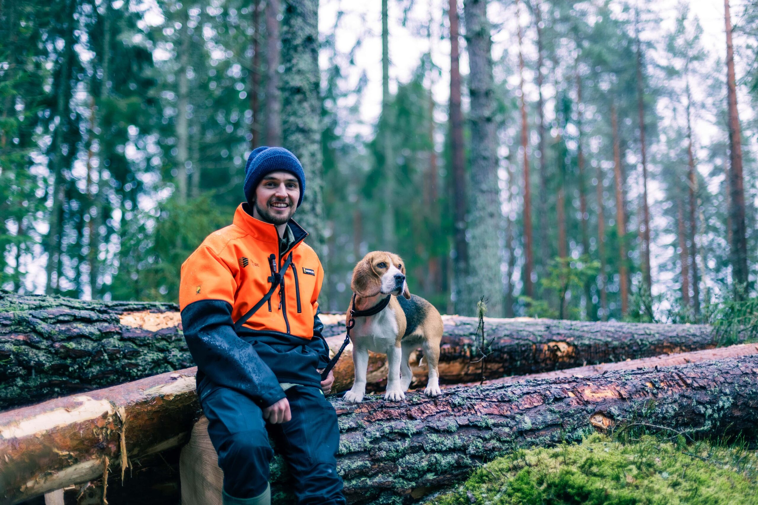 En skog av muligheter - Velgskog