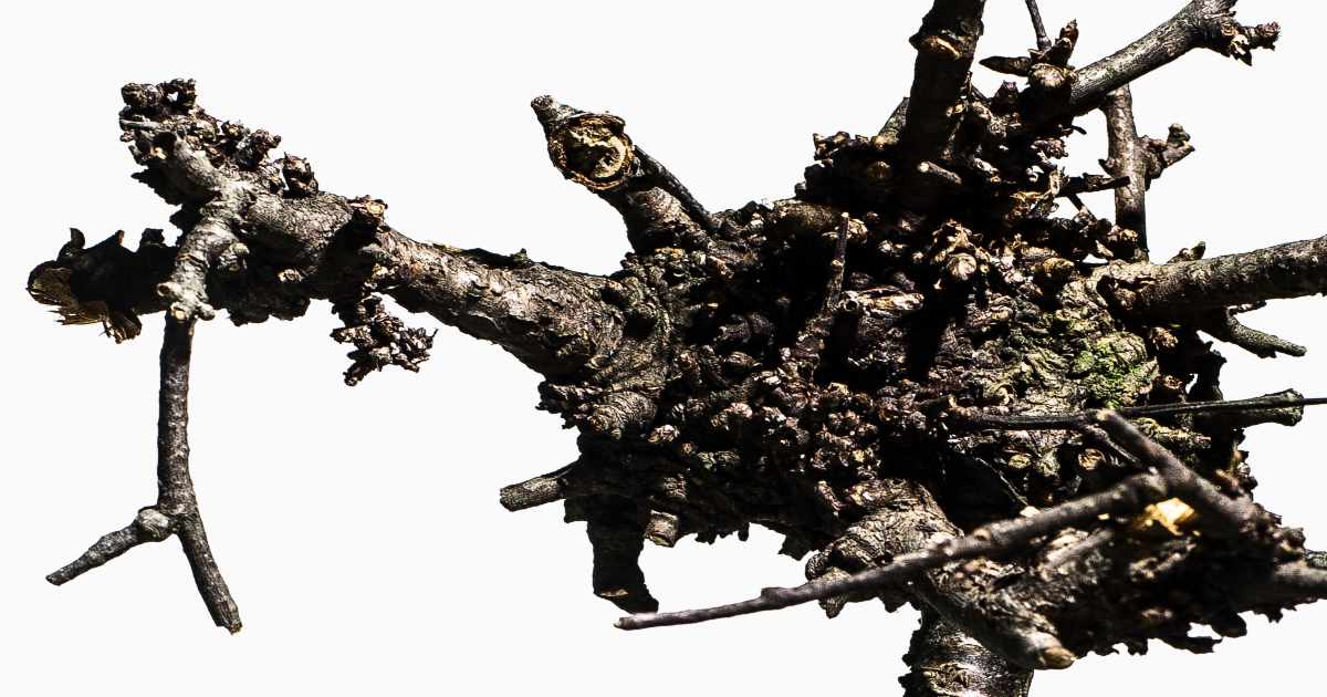 Venø Gård KUNST | Rural Arts Organisation