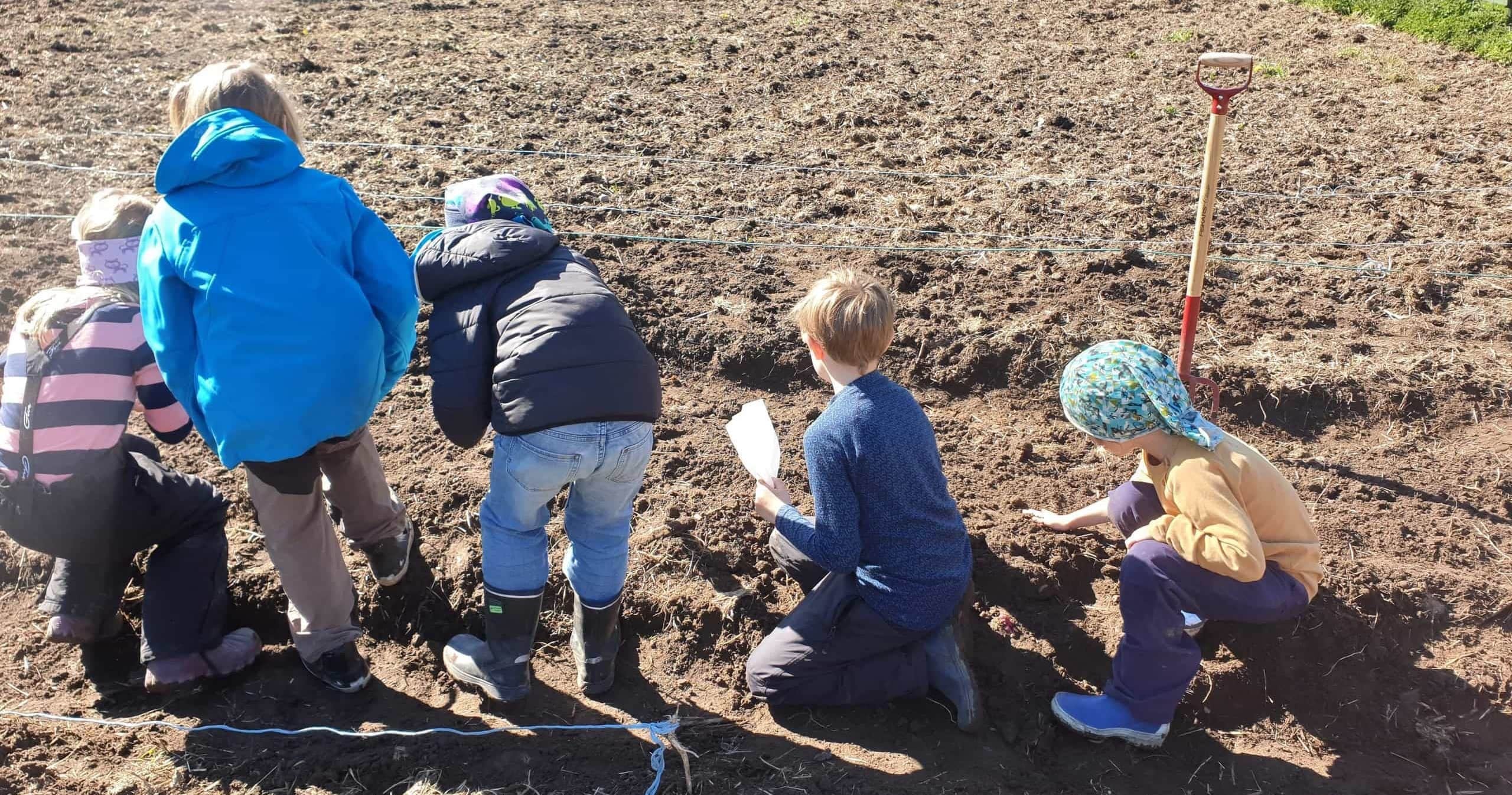 Steinerskolen i Vestfold - Utdanning av barn og unge