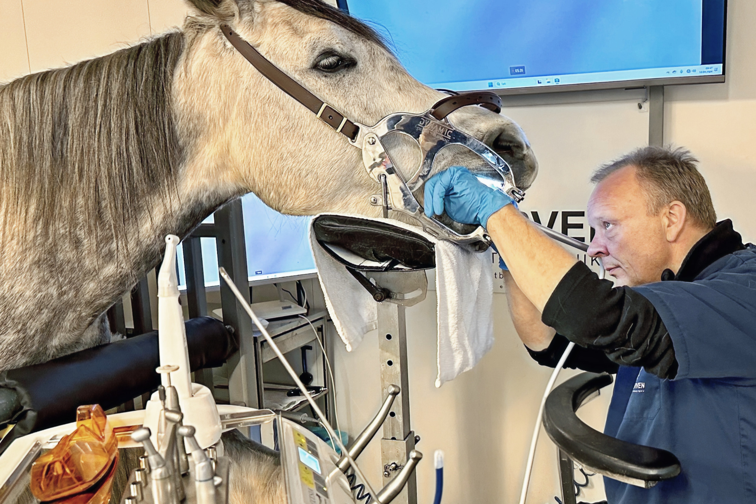 vetBERVEN Hestens Tannklinikk | Øyvind Berven Hesteodontolog Sørlandet Rogaland