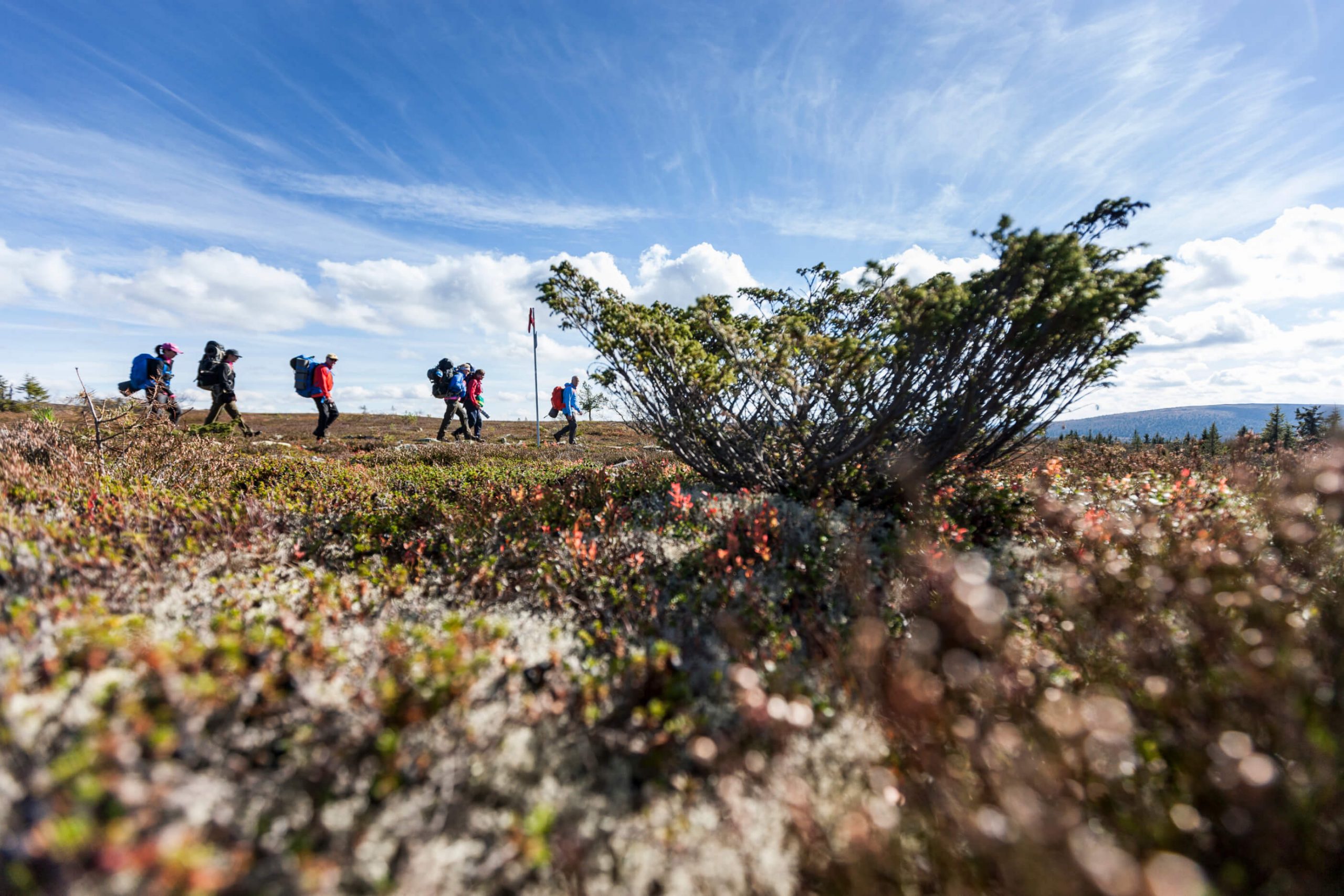 Viati | IT-konsultbolaget som tar dig till nästa nivå