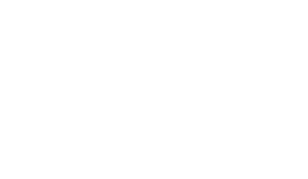 Vidsyn Arbeidshotell