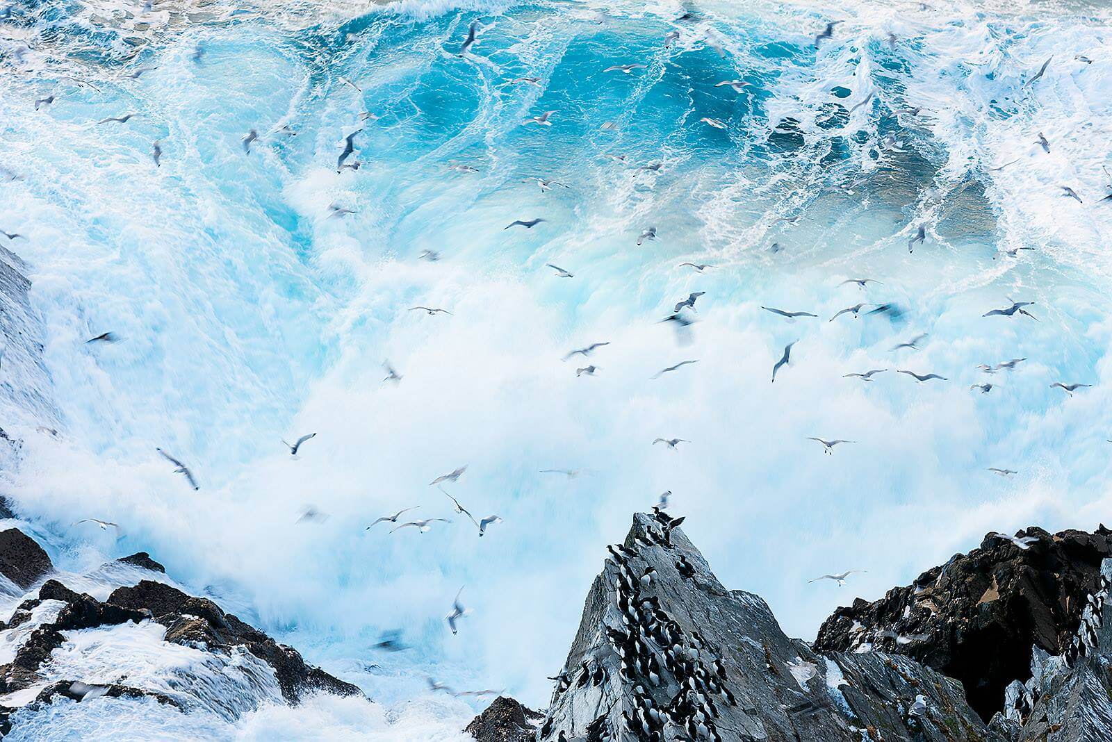 Explore Varanger - Welcome up north - Visit Varanger Arctic Norway