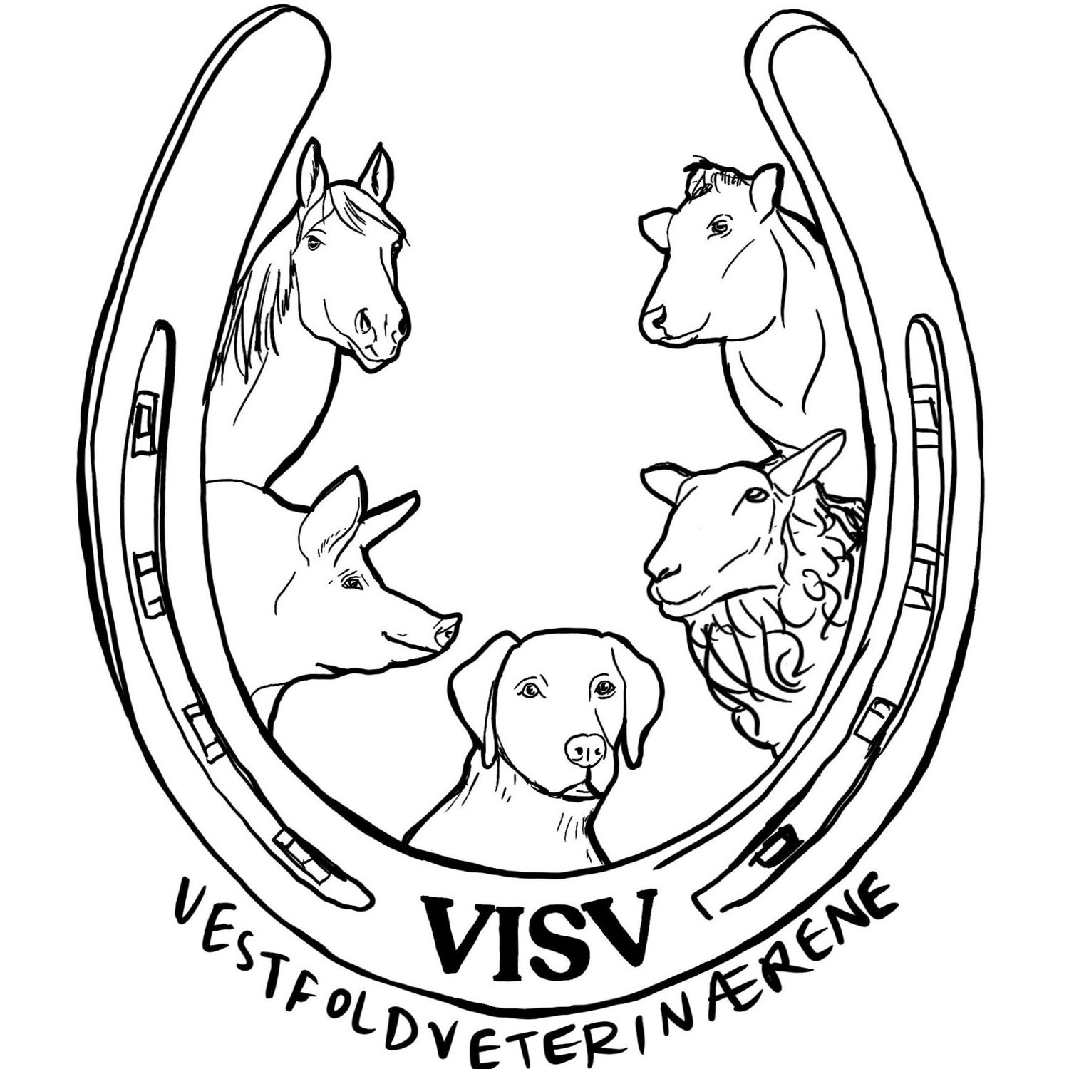 Vestfoldveterinærene