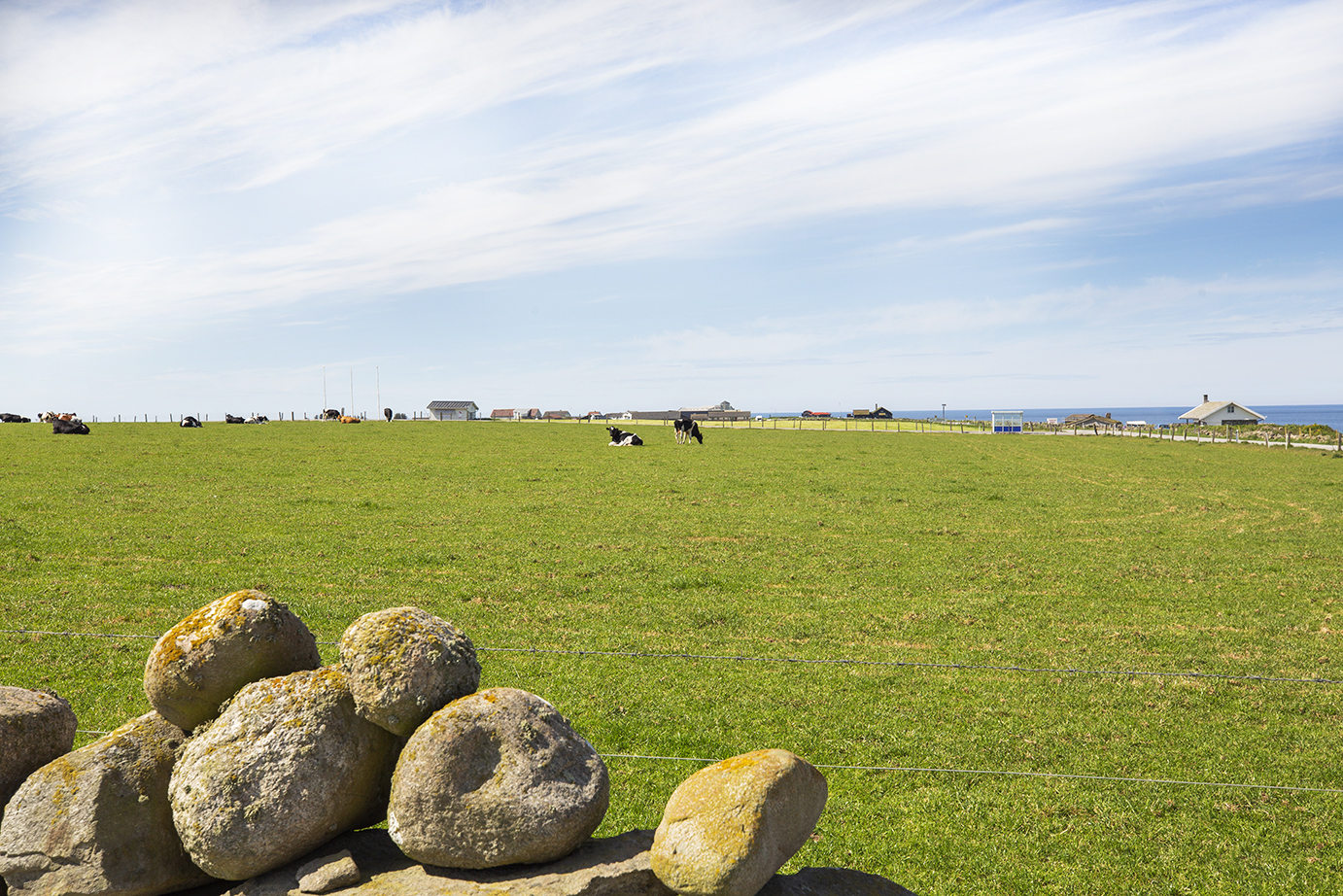 Vinterlandbruksskulen på Jæren - Agronomutdanning