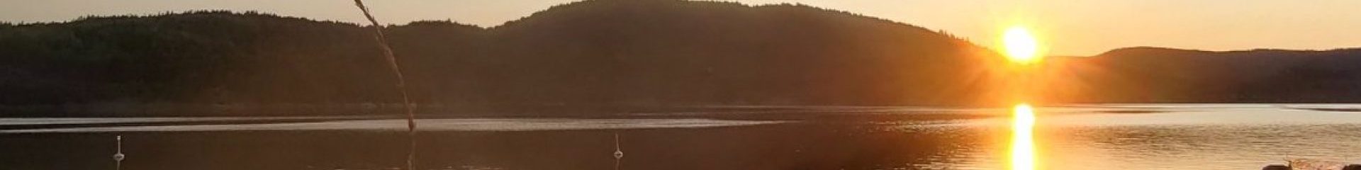 Vestviken naturistforening (VVNF) - Norsk naturistforbund