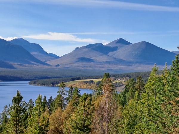 accroros.klubb247.no