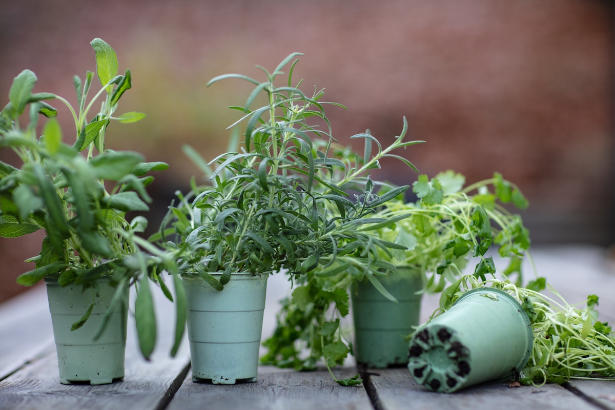 Vefi - Working together towards a sustainable packaging industry